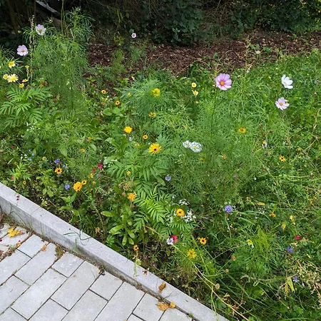 Oase Der Ruhe *